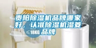 贵阳除湿机品牌哪家好，认准除湿机湿菱品牌