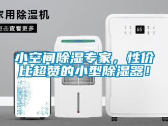 行业资讯小空间除湿专家，性价比超赞的小型除湿器！