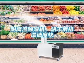 行业资讯耐高温除湿机，烘干房排湿速度快