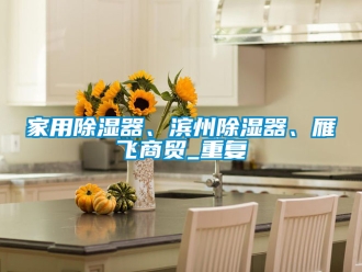 行业资讯家用除湿器、滨州除湿器、雁飞商贸_重复