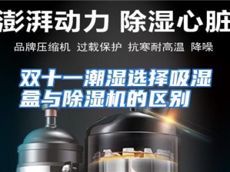 行业资讯双十一潮湿选择吸湿盒与除湿机的区别