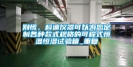 别慌，科迪仪器可以为您定制各种款式规格的可程式恒温恒湿试验箱_重复