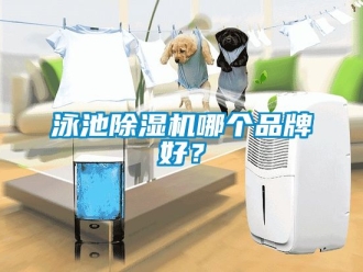 企业动态泳池除湿机哪个品牌好？
