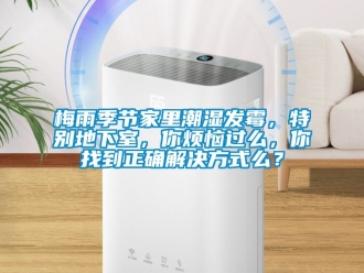 企业动态梅雨季节家里潮湿发霉，特别地下室，你烦恼过么，你找到正确解决方式么？