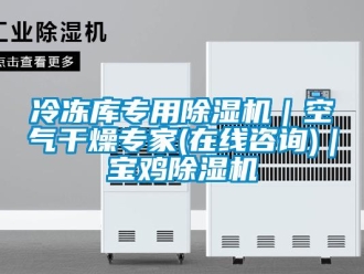 行业资讯冷冻库专用除湿机｜空气干燥专家(在线咨询)｜宝鸡除湿机
