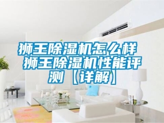 行业资讯狮王除湿机怎么样 狮王除湿机性能评测【详解】