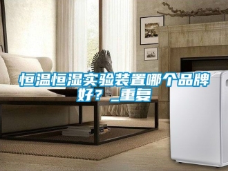 知识百科恒温恒湿实验装置哪个品牌好？_重复