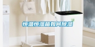 恒温恒湿箱如何除湿