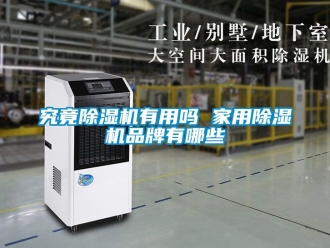 企业动态究竟除湿机有用吗 家用除湿机品牌有哪些