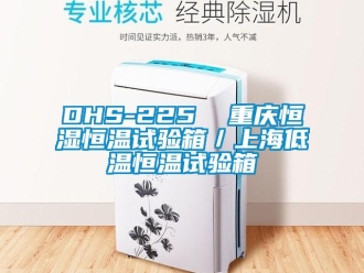 常见问题DHS-225  重庆恒湿恒温试验箱／上海低温恒温试验箱