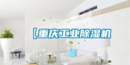 【重庆工业除湿机