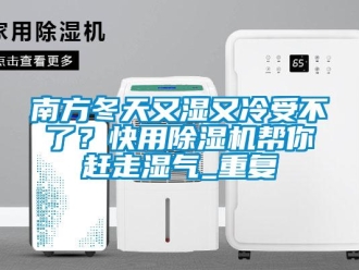 行业资讯南方冬天又湿又冷受不了？快用除湿机帮你赶走湿气_重复
