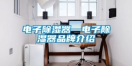 电子除湿器—电子除湿器品牌介绍