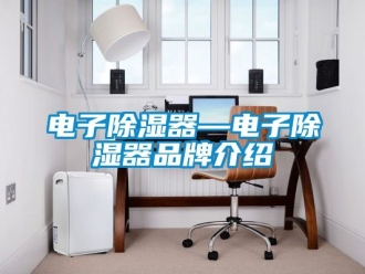 行业资讯电子除湿器—电子除湿器品牌介绍