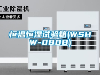 知识百科恒温恒湿试验箱(WSHW-080B)