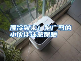 行业资讯湿冷到来！跑广马的小伙伴注意保暖