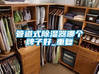 行业资讯管道式除湿器哪个牌子好_重复