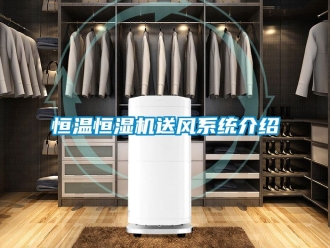 知识百科恒温恒湿机送风系统介绍