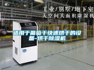 行业资讯适用于葡萄干快速烘干的设备-烘干除湿机
