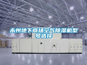 行业资讯永州地下商场空气除湿机型号选择