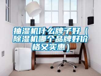 企业动态抽湿机什么牌子好（除湿机哪个品牌好价格又实惠）