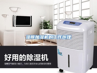 行业资讯湿膜加湿机的工作原理