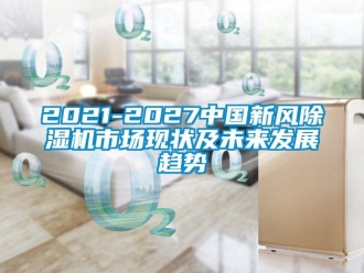 常见问题2021-2027中国新风除湿机市场现状及未来发展趋势