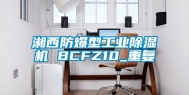 湘西防爆型工业除湿机 BCFZ10_重复