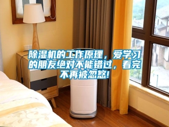 知识百科除湿机的工作原理，爱学习的朋友绝对不能错过，看完不再被忽悠!