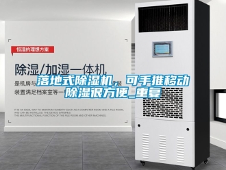 行业资讯落地式除湿机，可手推移动除湿很方便_重复