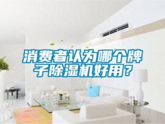 行业资讯消费者认为哪个牌子除湿机好用？