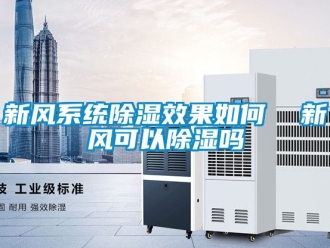 行业资讯新风系统除湿效果如何  新风可以除湿吗