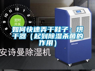 行业资讯如何快速弄干鞋子：烘干器（起到除湿杀菌的作用）