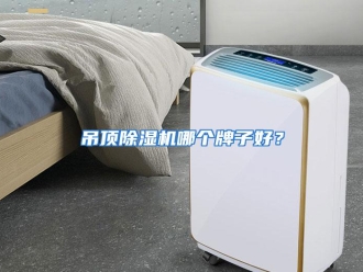 常见问题吊顶除湿机哪个牌子好？