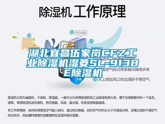 常见问题湖北宜昌伍家岗CFZ工业除湿机湿菱SL-9138E除湿机