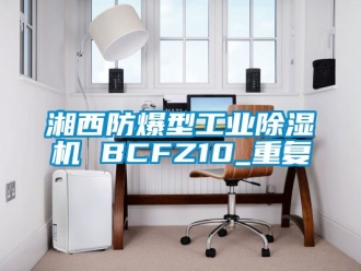 企业动态湘西防爆型工业除湿机 BCFZ10_重复
