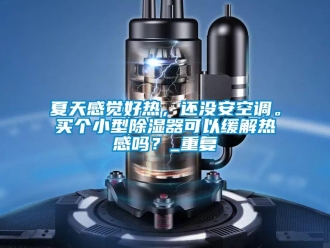 行业资讯夏天感觉好热，还没安空调。买个小型除湿器可以缓解热感吗？_重复