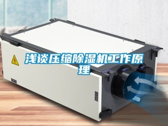 行业资讯浅谈压缩除湿机工作原理