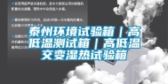 泰州环境试验箱｜高低温测试箱｜高低温交变湿热试验箱