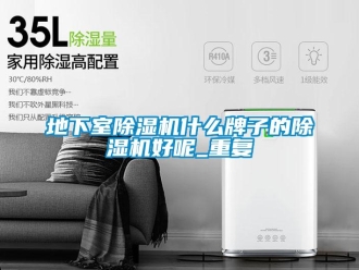 行业资讯地下室除湿机什么牌子的除湿机好呢_重复