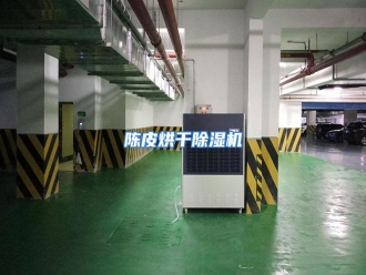 知识百科陈皮烘干除湿机