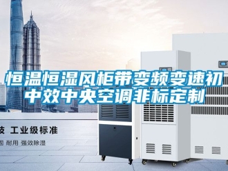 知识百科恒温恒湿风柜带变频变速初中效中央空调非标定制