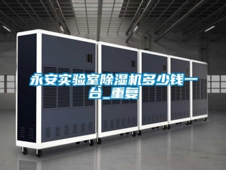 行业资讯永安实验室除湿机多少钱一台_重复