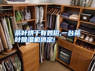 知识百科茶叶烘干有妙招,一台茶叶除湿机搞定!