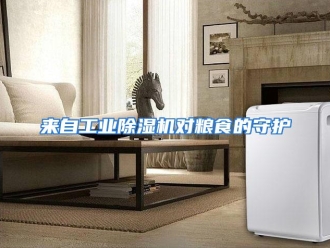 行业资讯来自工业除湿机对粮食的守护