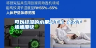 可以排湿的水果烘干机 全天干燥速度快