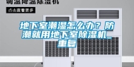 地下室潮湿怎么办？防潮就用地下室除湿机_重复