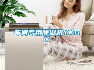 企业动态车间专用除湿机YKGY