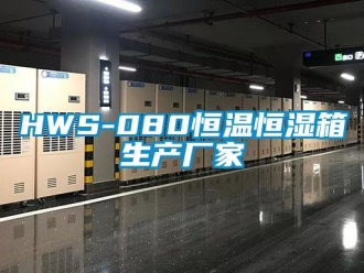 常见问题HWS-080恒温恒湿箱生产厂家