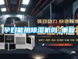 行业资讯孕妇能用除湿机吗_重复